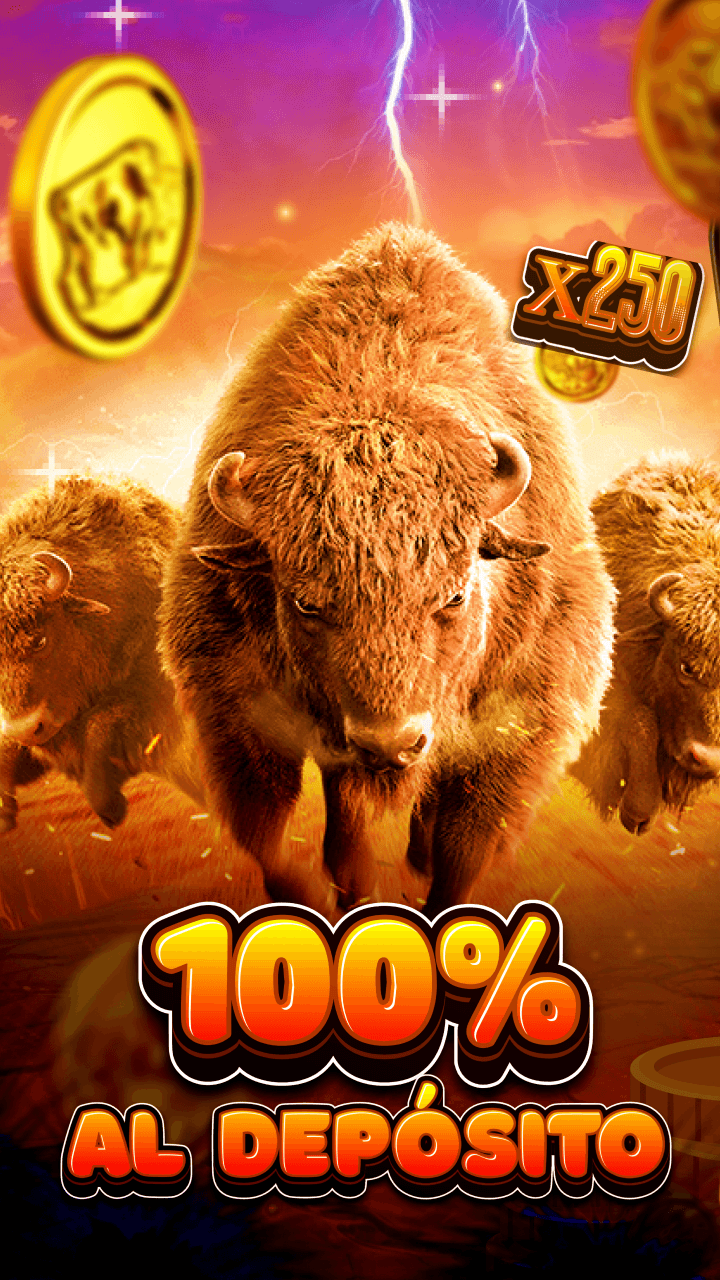 Killah Casino Screenshot